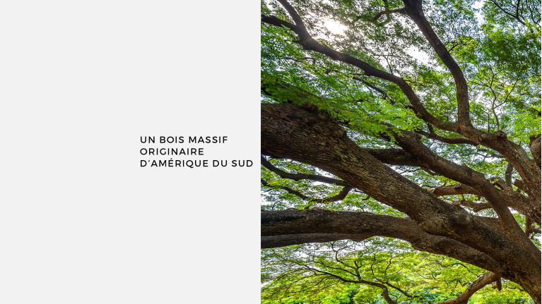 Table de repas UNIQUE | Table résine et bois massif