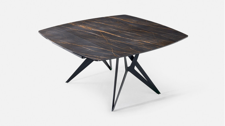 Table de repas extensible...