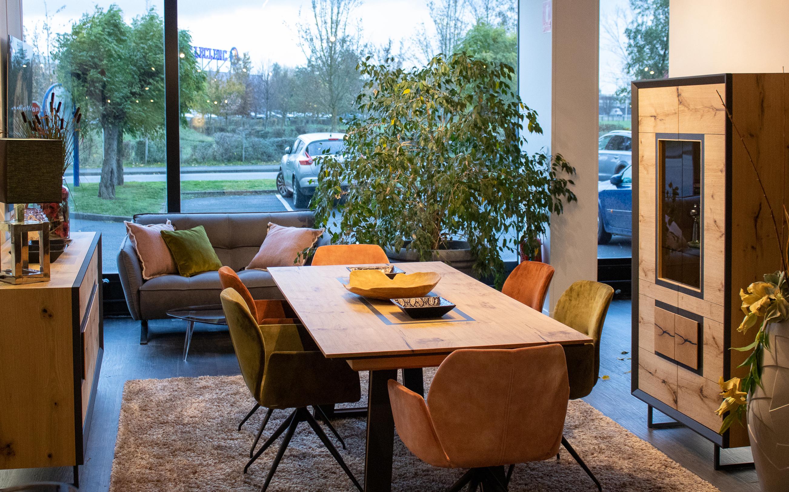 Salon et salle à manger design en bois haut de gamme dans votre magasin à Lille